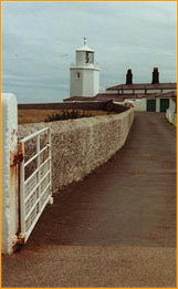 Leuchtturm Lizard Point