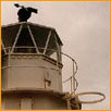Leuchtturm  Point of Sleate (Schottland)