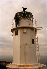 Leuchtturm  Point of Sleate (Schottland)