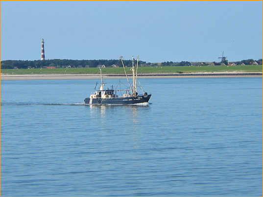 Blick vom Wattenmeer auf Ameland mit dem Leuchtturm