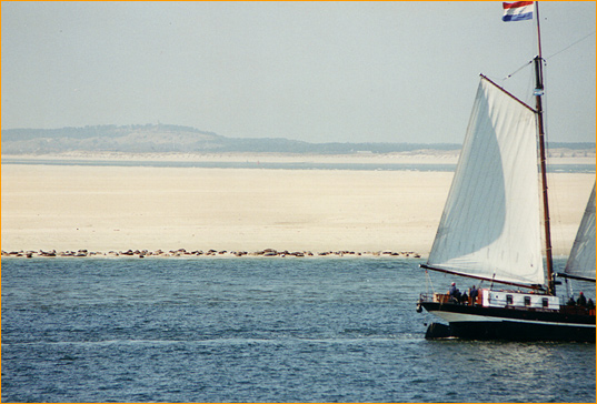 Blick vom Wattenmeer auf Vlieland, durch den Dunst ist an der höchsten Erhebung der Leuchtturm zu erahnen.